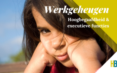 Werkgeheugen & Hoogbegaafdheid