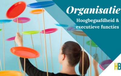 Organisatie